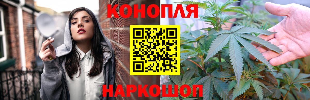 Конопля гибрид Карталы